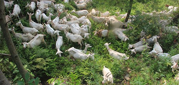 ����� Ѱ������Դ��ҵ��ɽ�����л�����